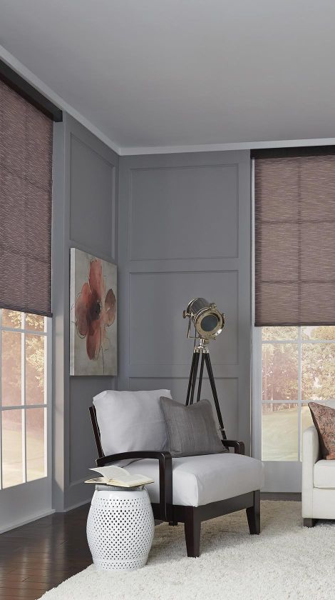 Living room with motorized shades
